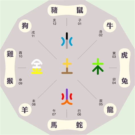 狗五行屬性|属狗的五行属性是什么？狗的五行性格解析